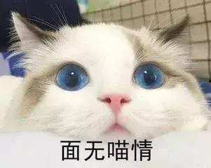 无辜的吃瓜路人,见证时代变迁的旁观者