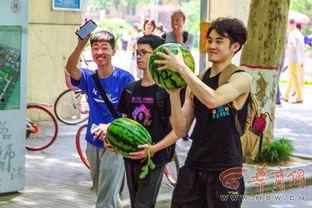 西北吃瓜大学,揭秘大学生活新风尚