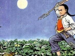 梦见我偷瓜吃,偷瓜吃背后的神秘寓意