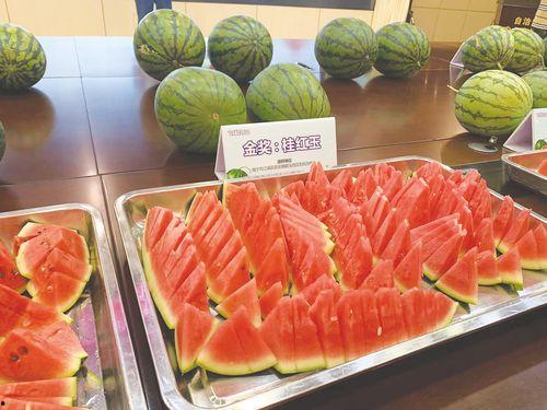 打擂台吃瓜,一场别开生面的娱乐盛宴
