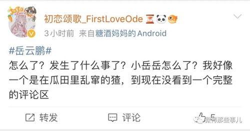凌晨吃的瓜评论,揭秘娱乐圈最新八卦风云