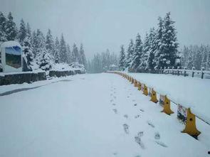 雪地可以吃瓜吗,揭秘雪地吃瓜的奇妙体验