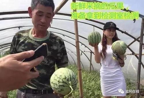 吃瓜群众报道直播,吃瓜群众视角下的娱乐圈风云