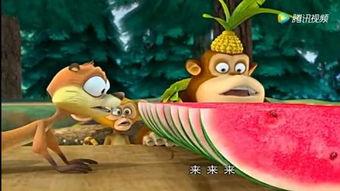 搞笑视频兔子吃瓜,笑料横生，萌态十足！