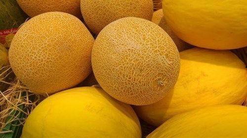 睡睡吃哈密瓜,夏日消暑美食之旅