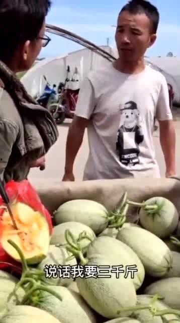 假装吃瓜被女警识破