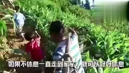 落九川 吃瓜视频,娱乐圈幕后故事大曝光