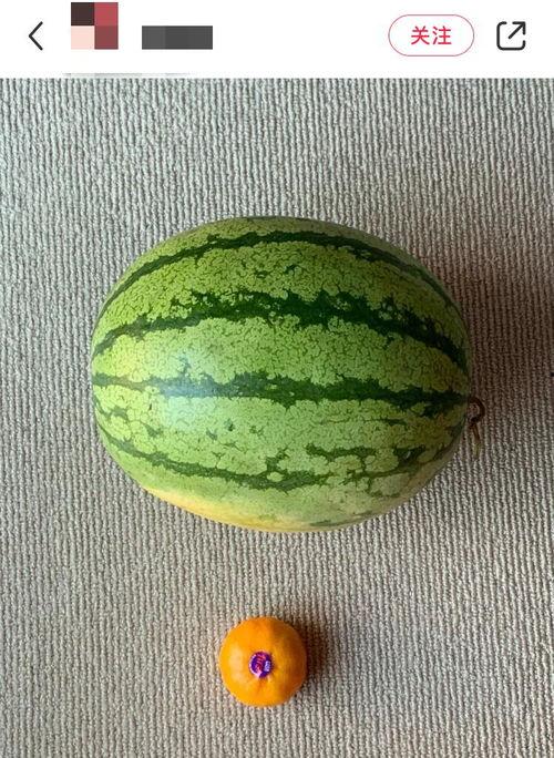 最全吃瓜观看,揭秘娱乐圈幕后真相