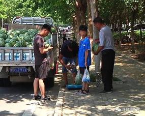 广宁吃瓜群众,揭秘当地热门话题背后的故事