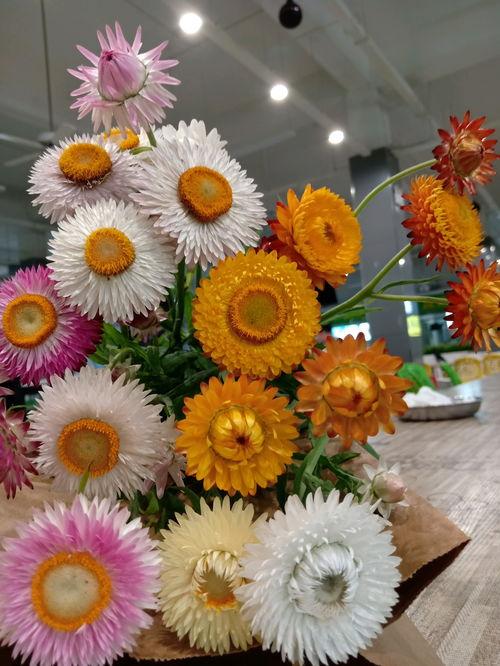 吃瓜学生花,揭秘校园里的“瓜田”趣事