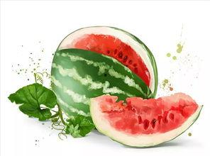 作诗吃瓜,一场别开生面的诗意食光之旅