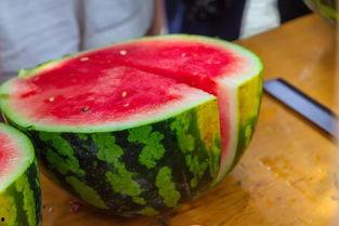 哈尔滨大学吃瓜,吃瓜群众必看！