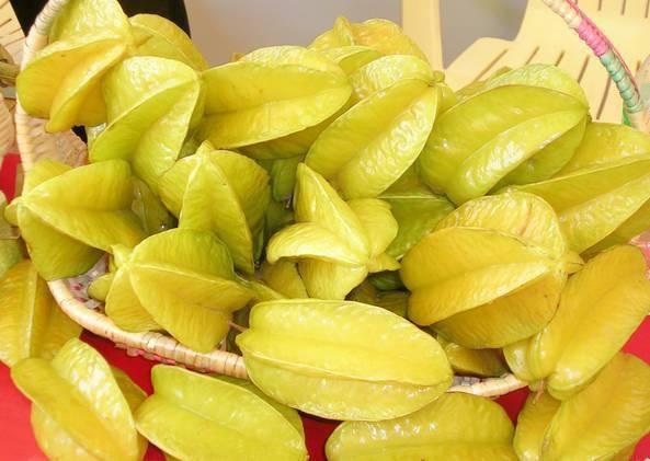 呆瓜吃杨桃,一场味蕾与智慧的碰撞