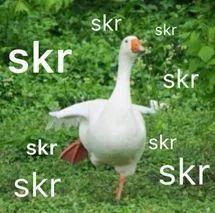 吃瓜swag,揭秘吃瓜swag的魅力