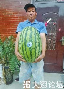 51吃瓜王,揭秘娱乐圈幕后真相，带你领略明星们的真实生活