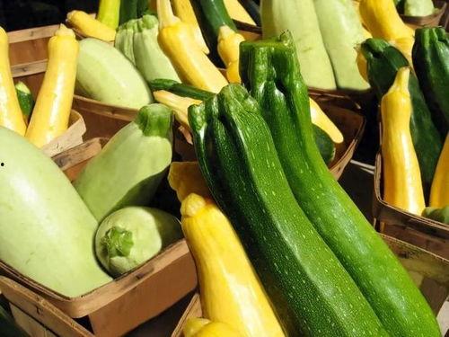 国际吃瓜专家,全球视角下的吃瓜文化解析