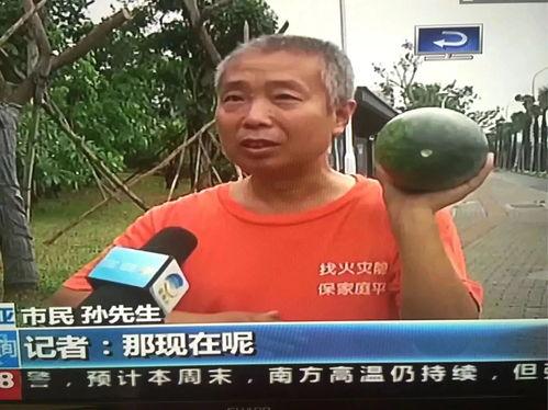 吃瓜群众竟是司机,揭秘瓜田里的驾驶奇遇